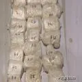 Ugandan National Arrested at Ahmedabad Airport with 981 Grams of Cocaine Hidden in Trolley Bag