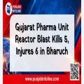 Gujarat Pharma Unit Reactor Blast Kills 5, Injures 6 in Bharuch