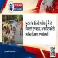 ਮੂਣਕ ’ਚ ਝੋਨੇ ਦੀ ਖਰੀਦ ਨੂੰ ਲੈ ਕੇ ਕਿਸਾਨਾਂ ਦਾ ਧਰਨਾ, ਮਾਰਕੀਟ ਕਮੇਟੀ ਸਕੱਤਰ ਖ਼ਿਲਾਫ਼ ਨਾਅਰੇਬਾਜ਼ੀ