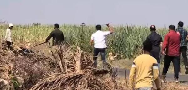 Pune Bus Rape Accused Hiding in Sugarcane Field? Police Deploy Drones