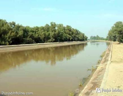 दशमेश लिंक नहर बनाने के लिए गठित टीम में  विधायक सरदार हरदियाल सिंह कंबोज को बनाया चेयरमैन