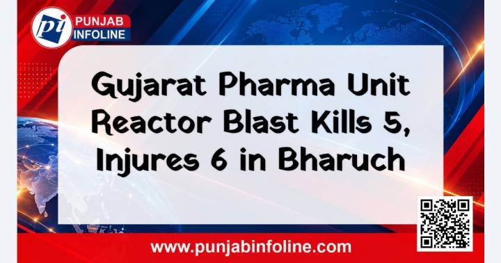 Gujarat Pharma Unit Reactor Blast Kills 5, Injures 6 in Bharuch