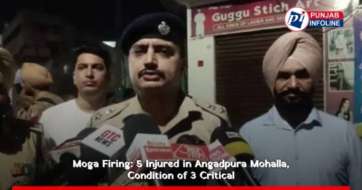 Moga Firing: 5 Injured in Angadpura Mohalla, Condition of 3 Critical
